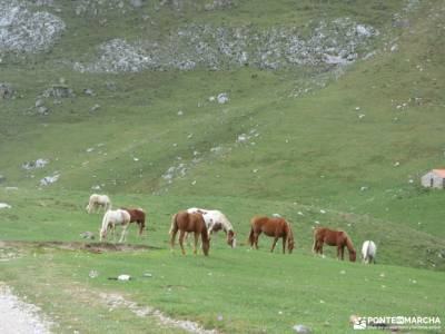 Corazón de Picos de Europa;camino de los faros centenera cabeza de hierro definicion de montaña is